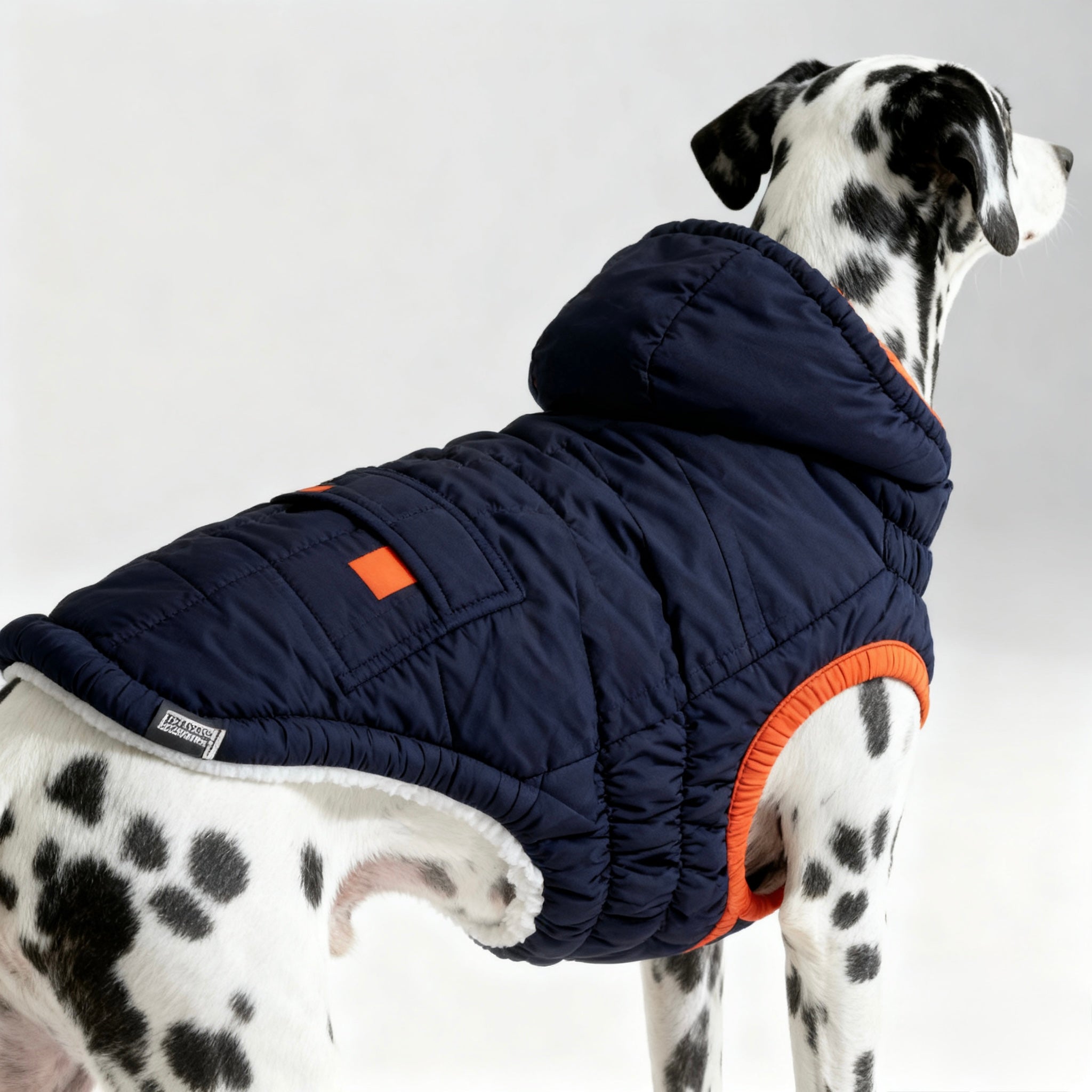 ARIMO “Winter Sailor” Dog Parka