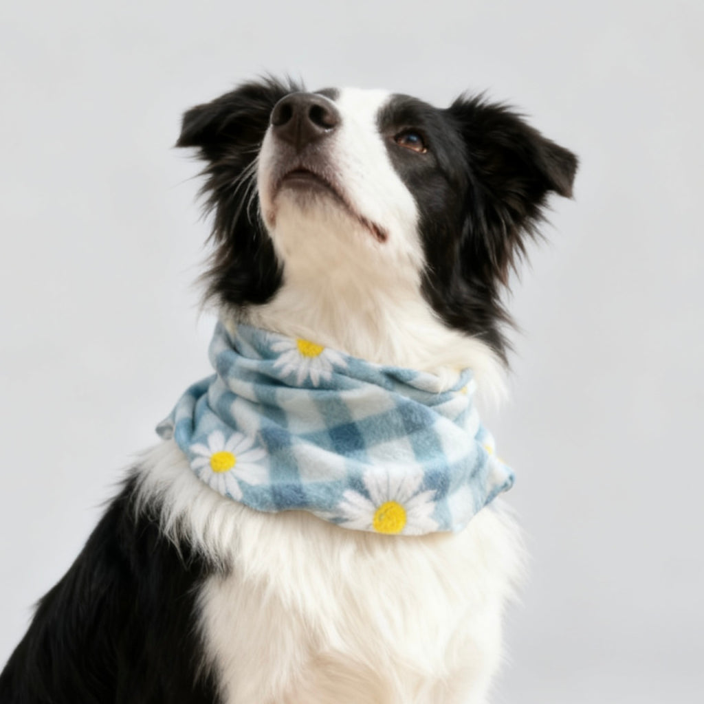 ARIMO “Blue Daisy” Dog Scarf