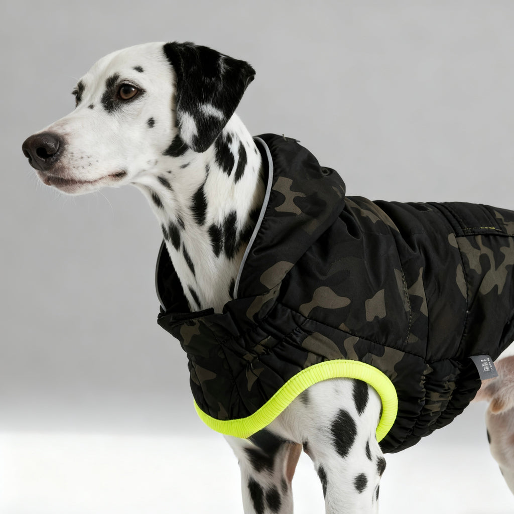 ARIMO “Eco Recycled” Dog Parka