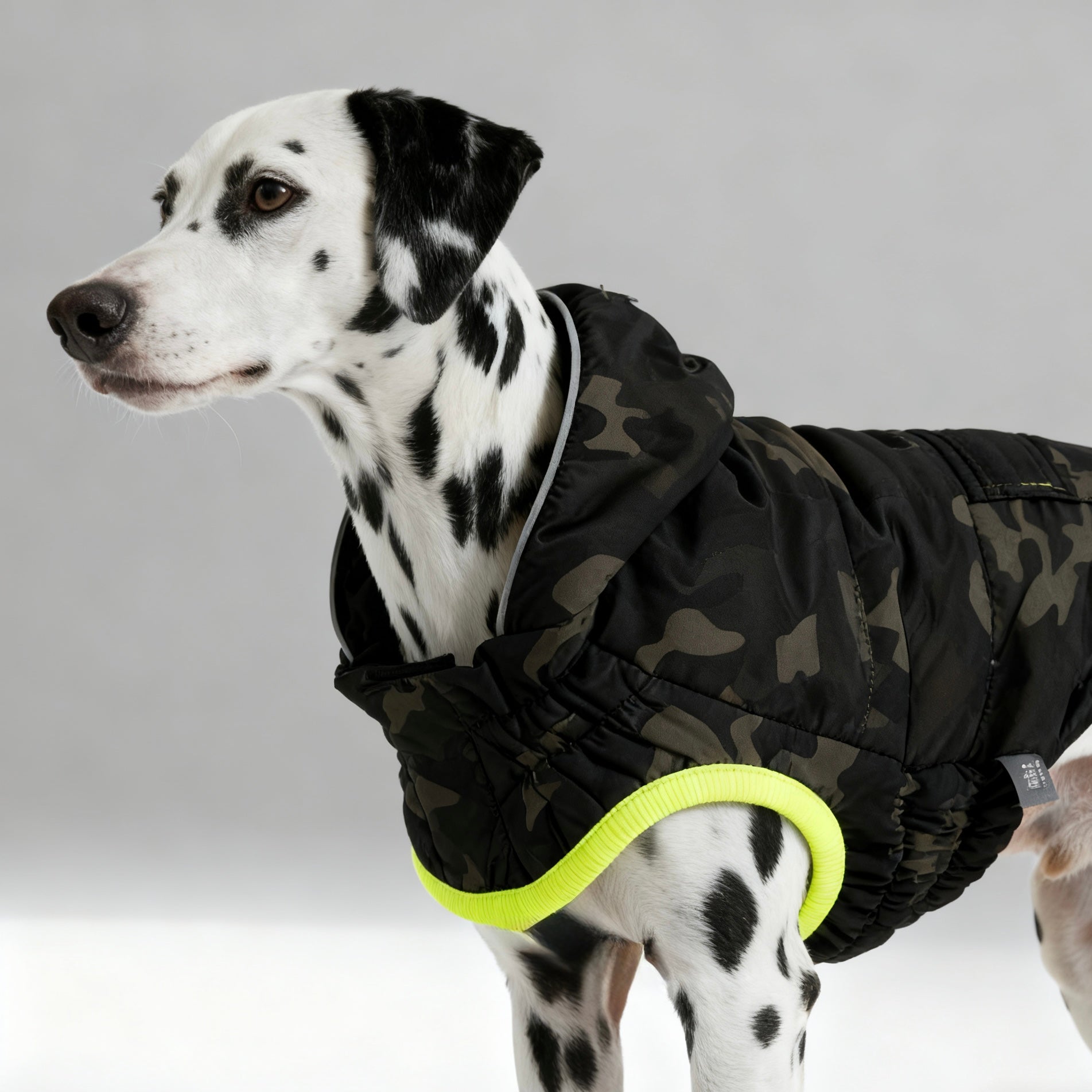 ARIMO “Eco Recycled” Dog Parka