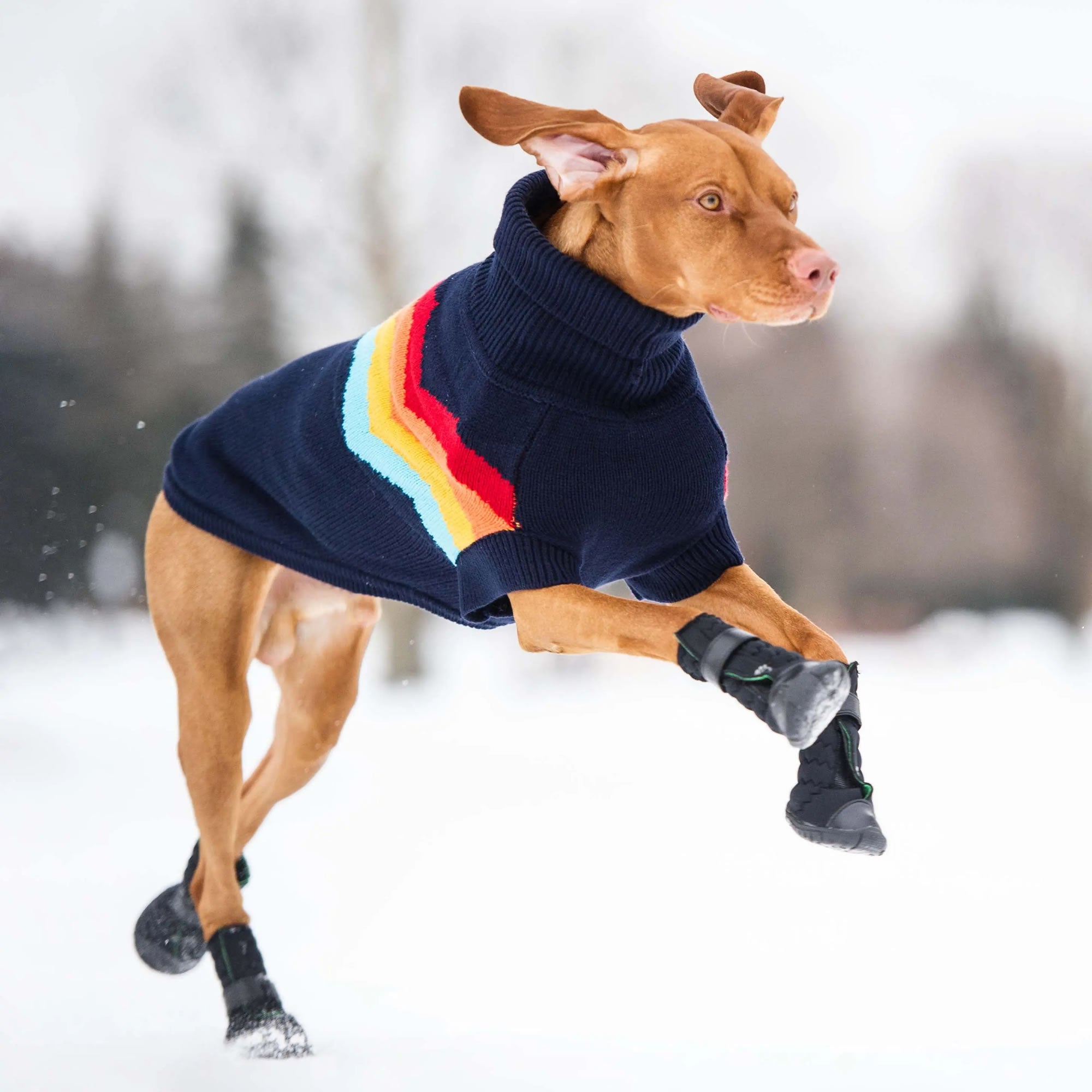 Elasto-Fit Winter Dog Boots — Waterproof & Stretchy