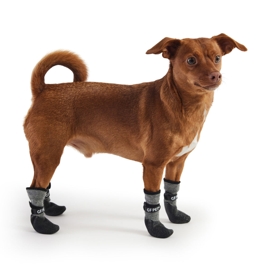 Waterproof All-Terrain Dog Boots with Built-In Sock