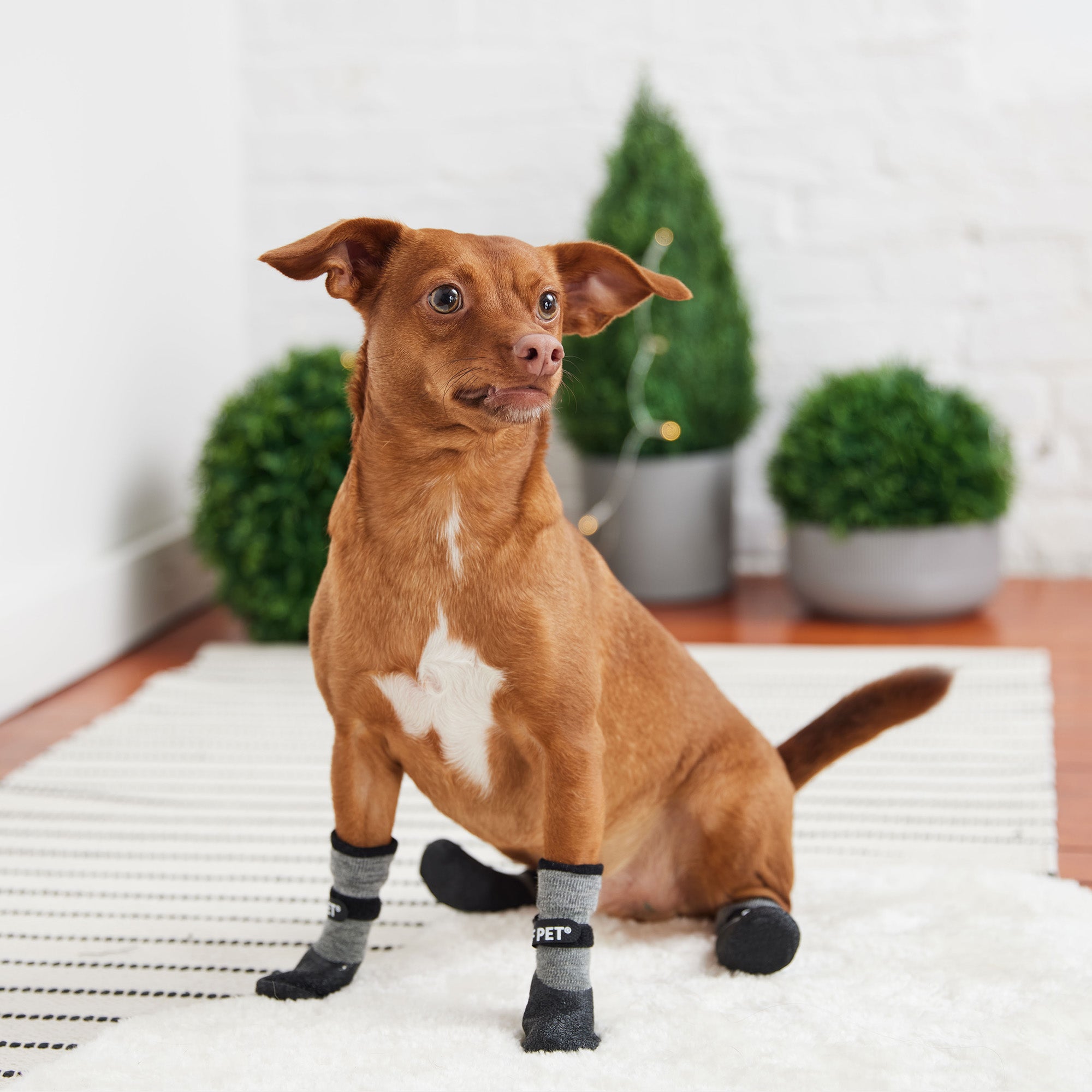 Waterproof All-Terrain Dog Boots with Built-In Sock