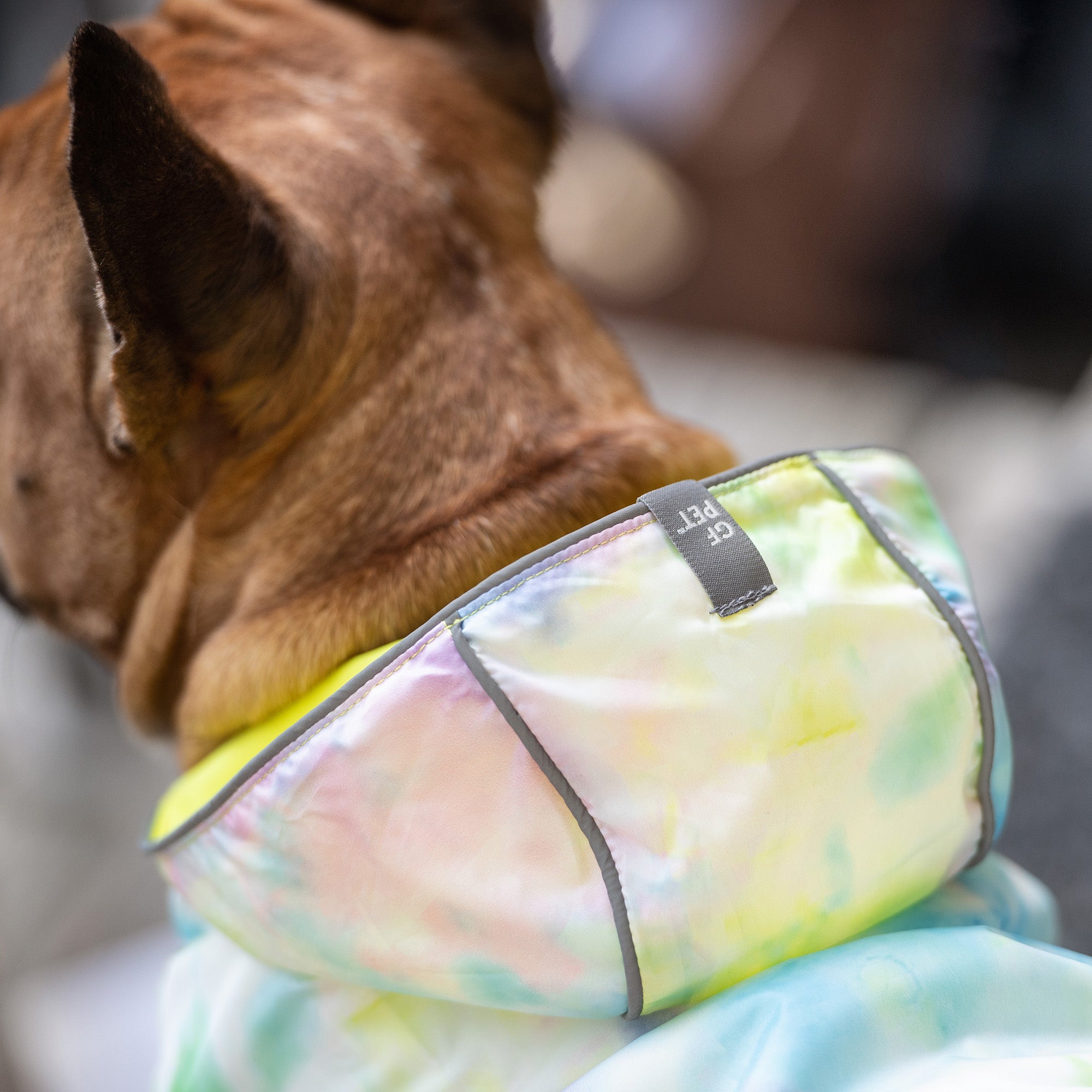 ARIMO “Reversible Rainshield” Dog Raincoat
