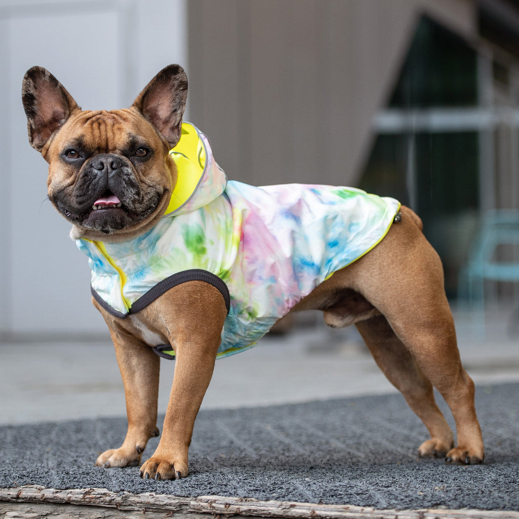 ARIMO “Reversible Rainshield” Dog Raincoat