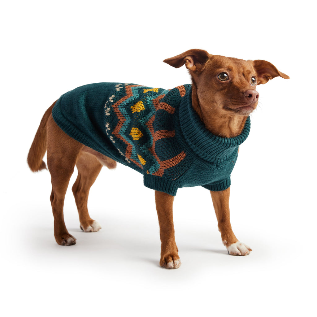ARIMO “Heritage Knit” Dog Sweater — Teal