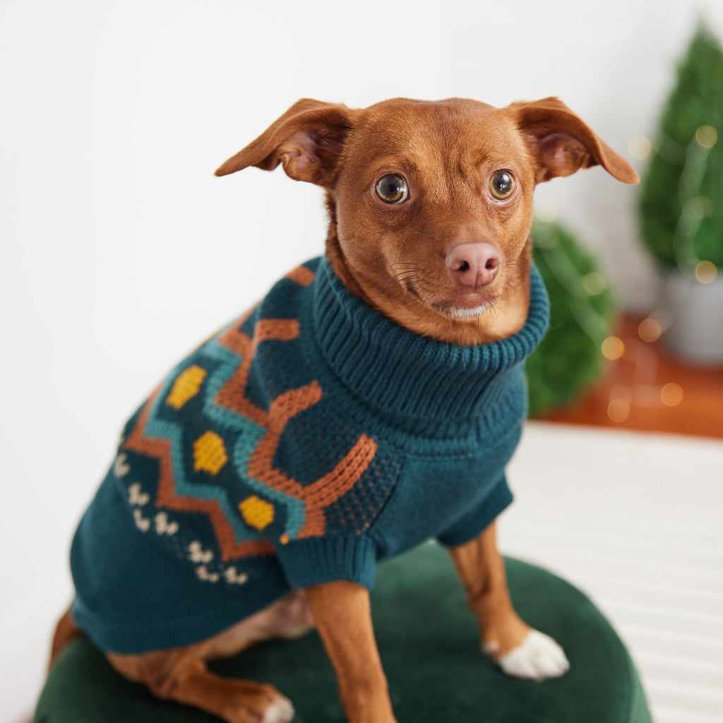 ARIMO “Heritage Knit” Dog Sweater — Teal