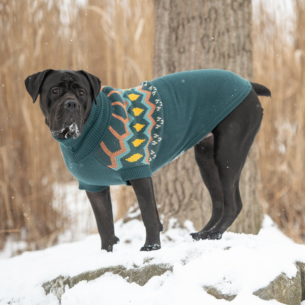 ARIMO “Heritage Knit” Dog Sweater — Teal