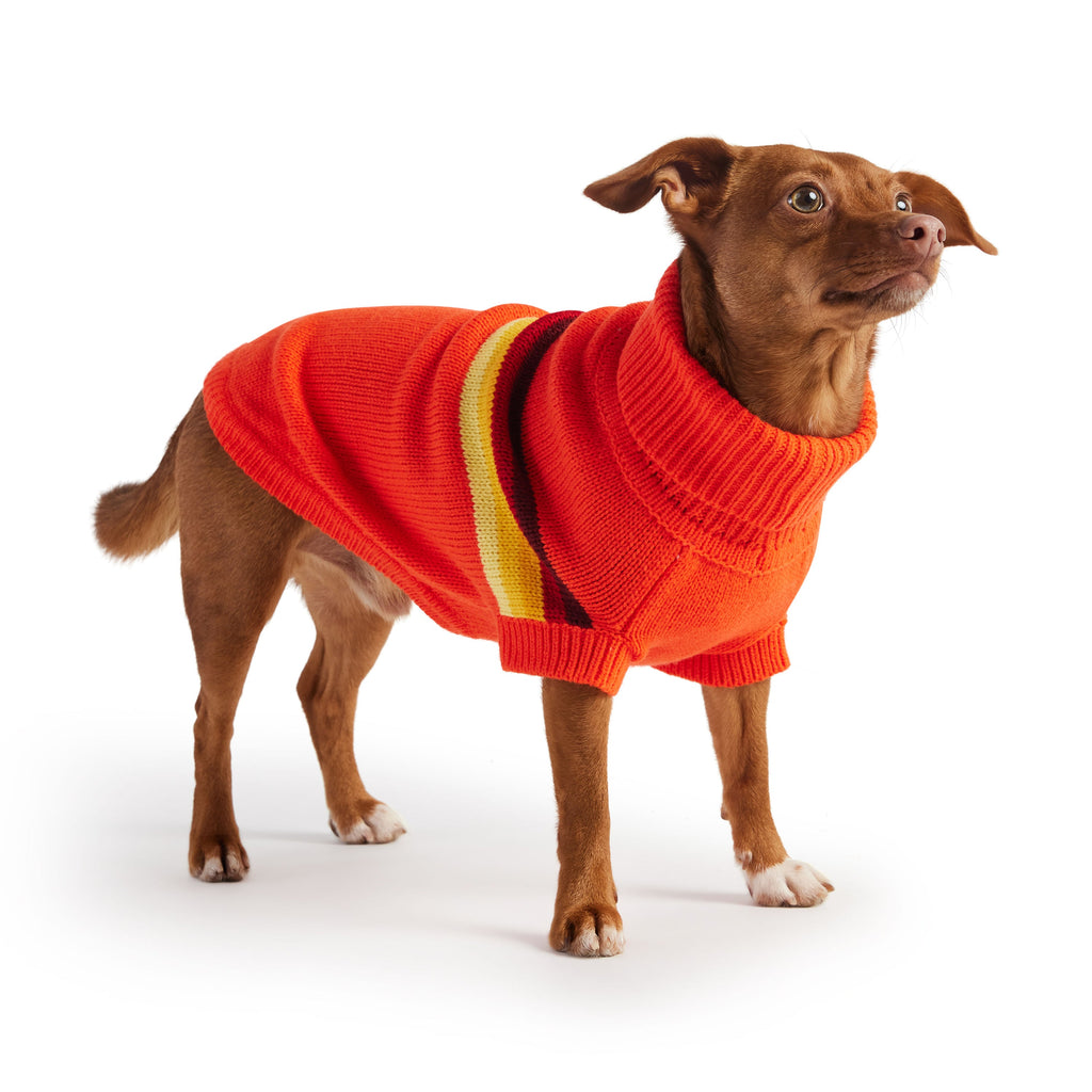 ARIMO “Retro Stripe” Dog Sweater — Orange