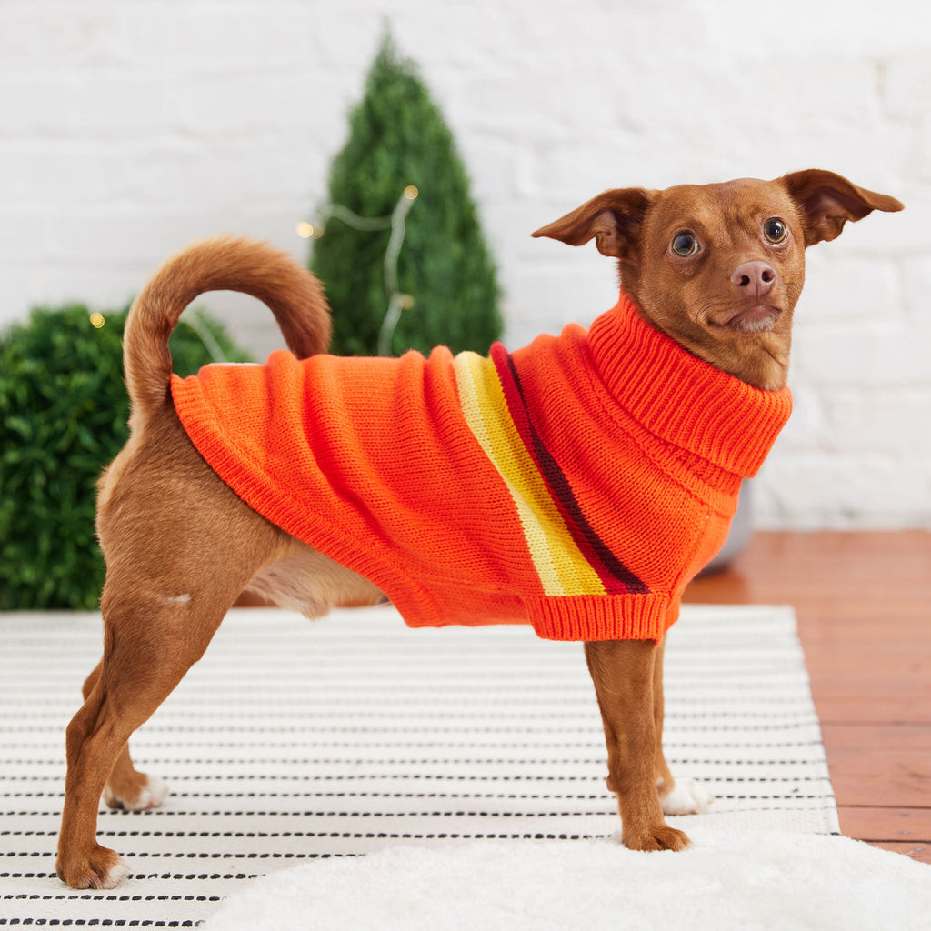ARIMO “Retro Stripe” Dog Sweater — Orange