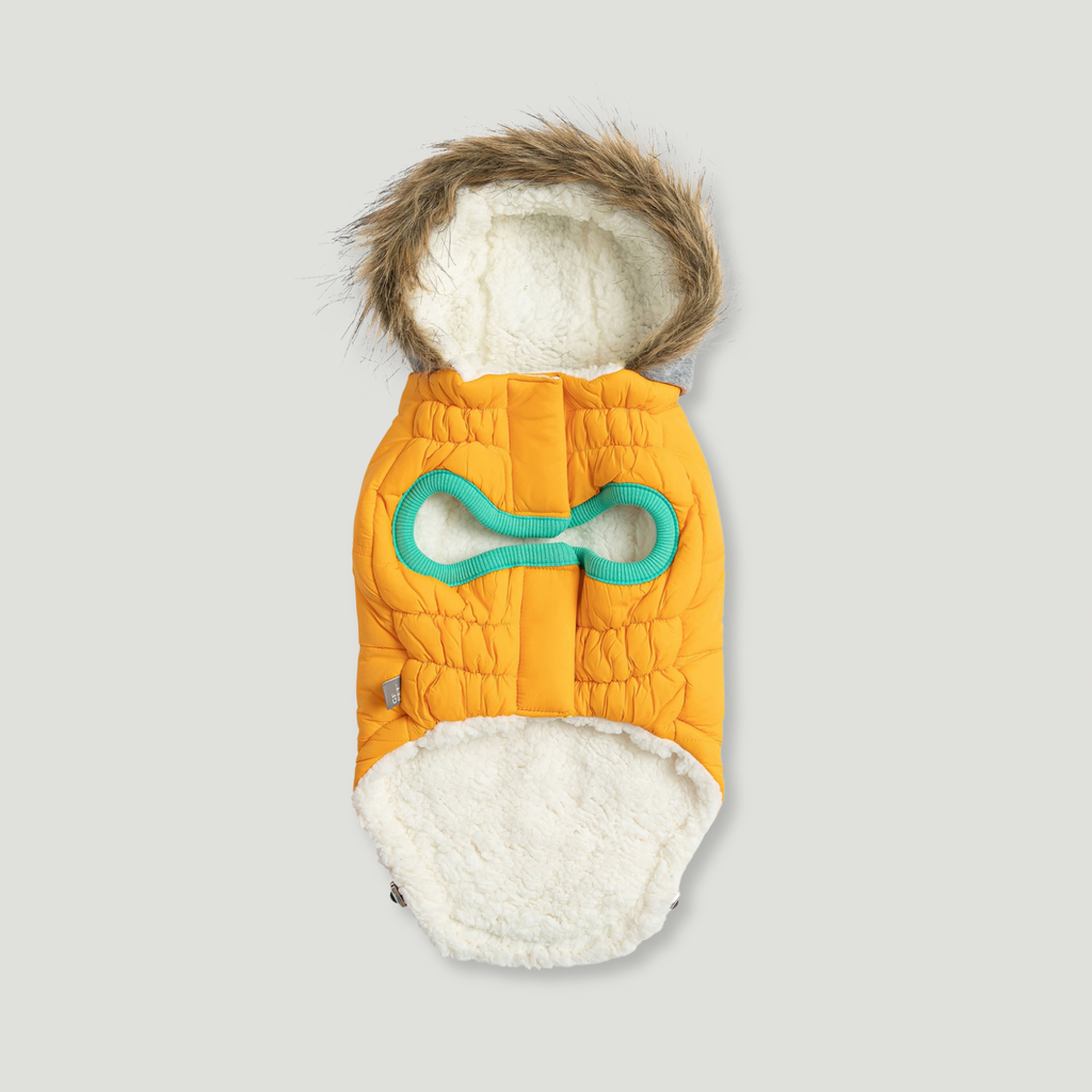 ARIMO “Winter Sailor” Dog Parka