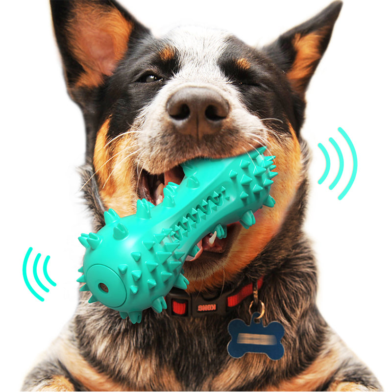Spiky Dental Chew Toy