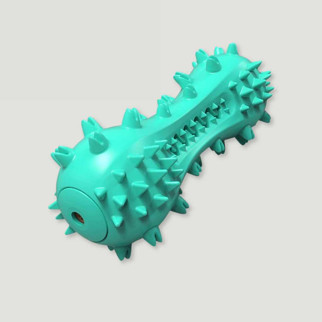 Spiky Dental Chew Toy