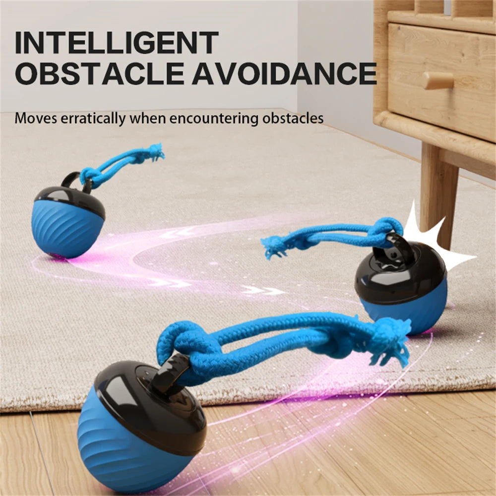Automatic Interactive Dog Ball Toy