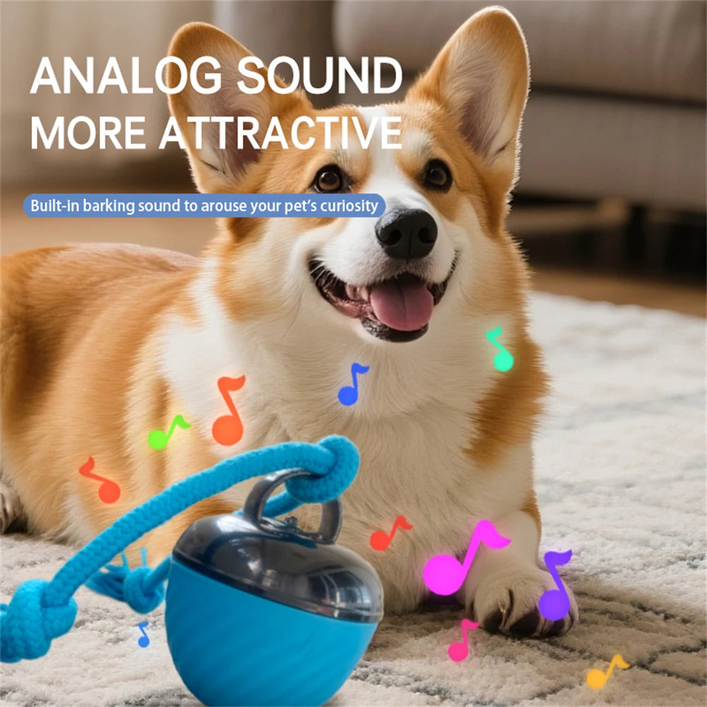 Automatic Interactive Dog Ball Toy