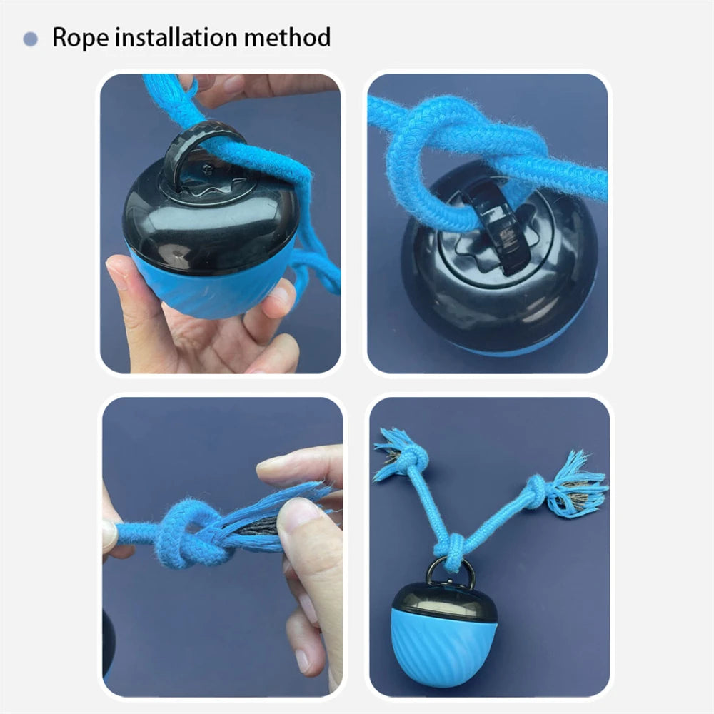 Automatic Interactive Dog Ball Toy
