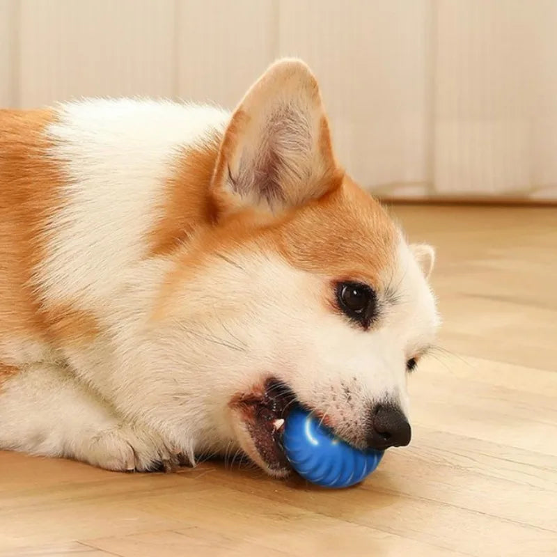 Interactive Moving Dog Ball Toy – USB Rechargeable Smart Jumping Ball for Dogs