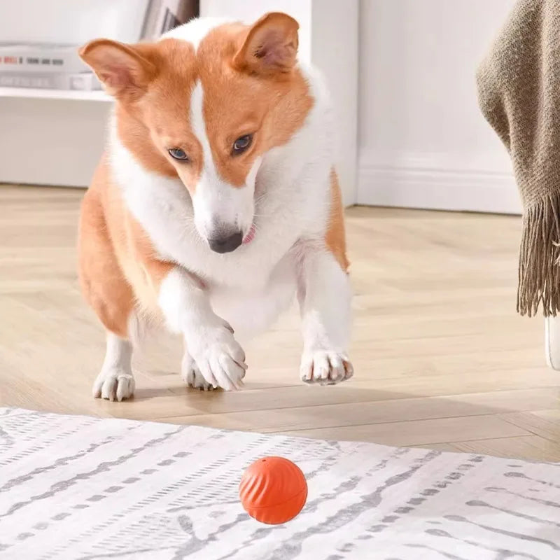 Interactive Moving Dog Ball Toy – USB Rechargeable Smart Jumping Ball for Dogs