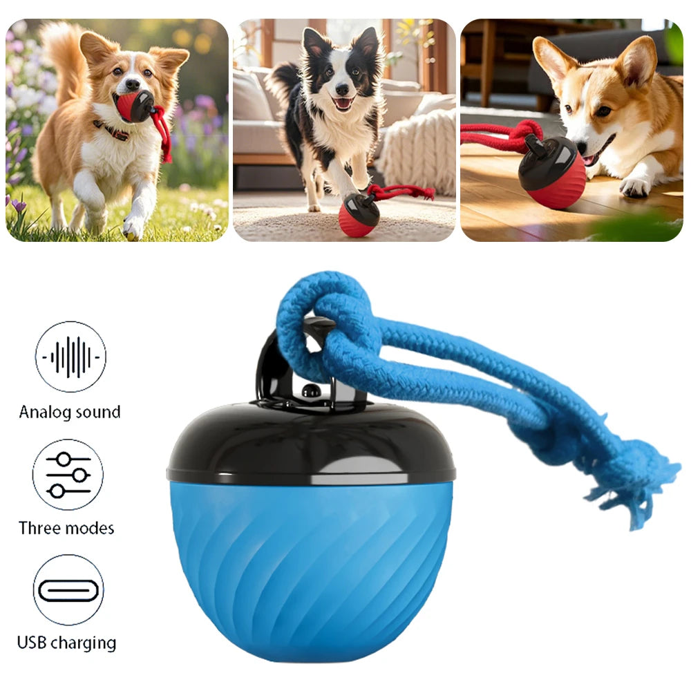 Automatic Interactive Dog Ball Toy