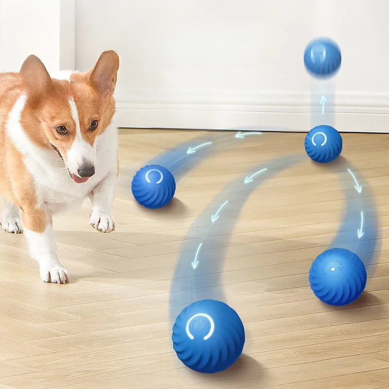 Interactive Moving Dog Ball Toy – USB Rechargeable Smart Jumping Ball for Dogs