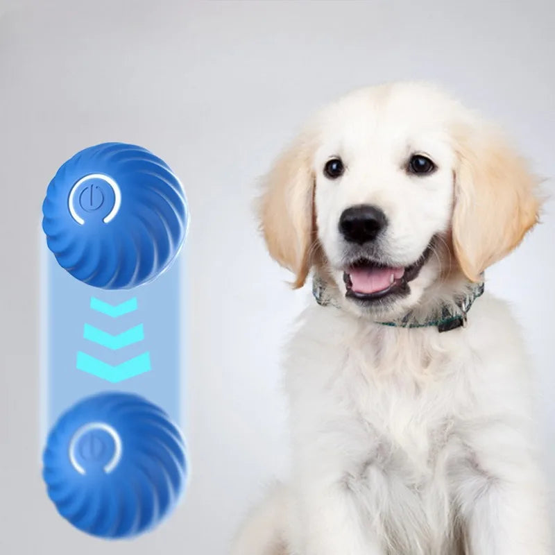 Interactive Moving Dog Ball Toy – USB Rechargeable Smart Jumping Ball for Dogs
