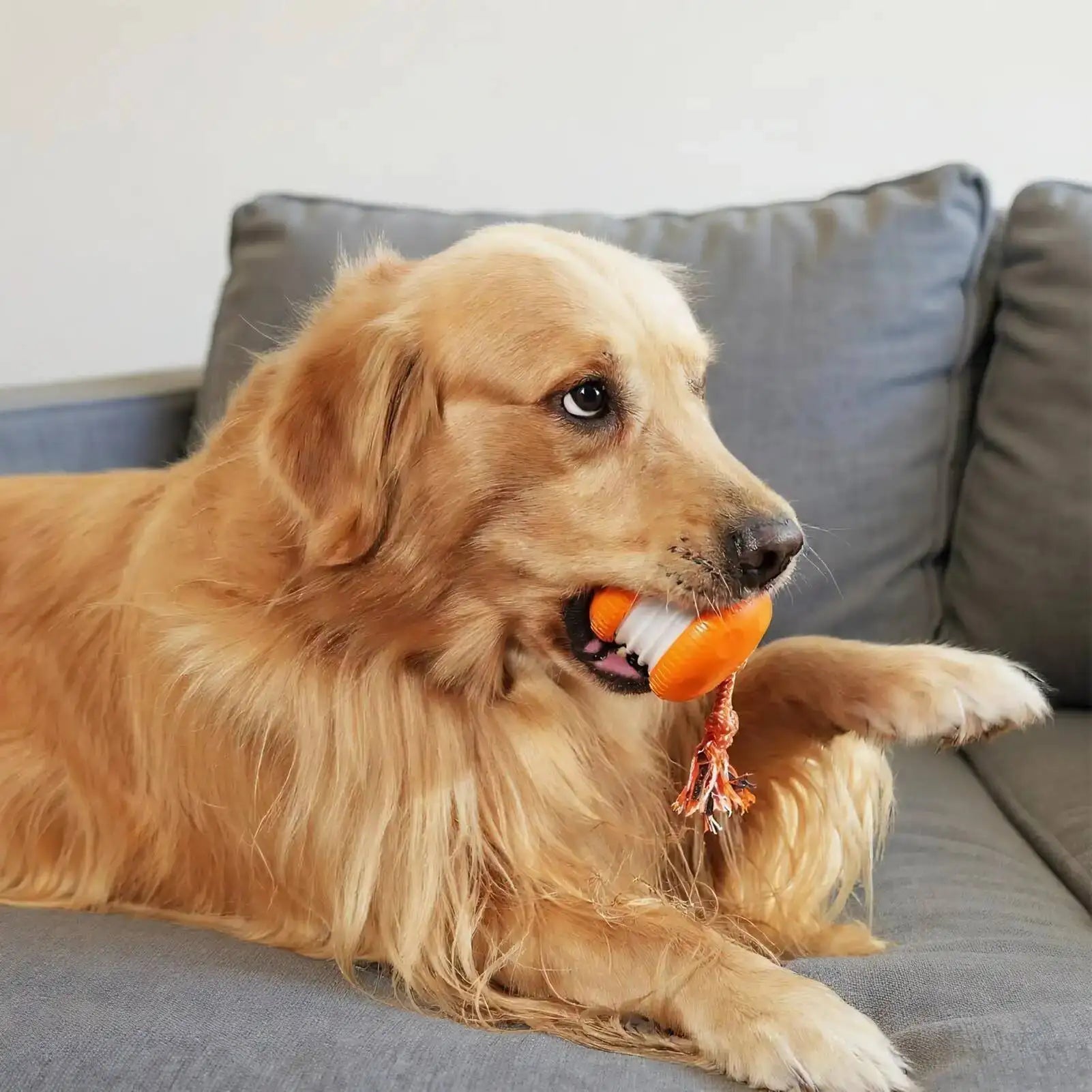 Interactive Smart Rolling Dog Ball with Rope