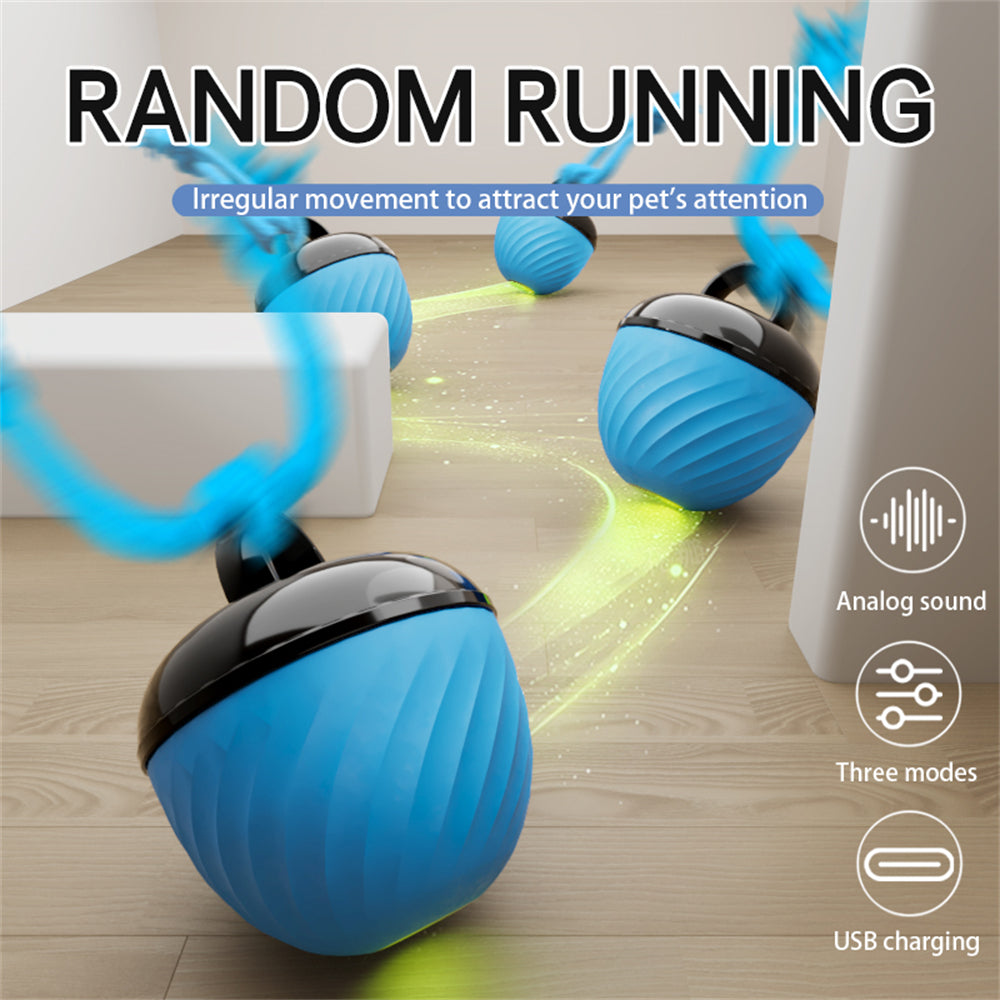 Automatic Interactive Dog Ball Toy