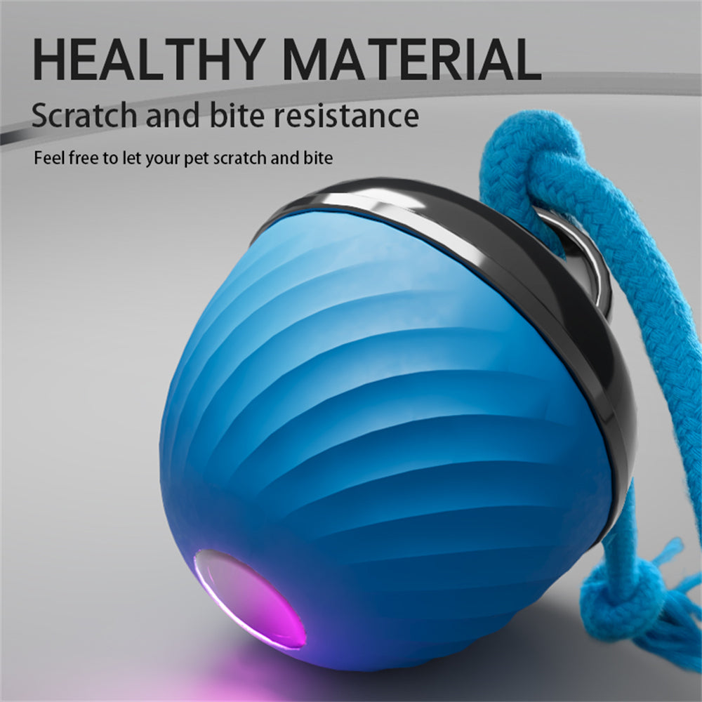 Automatic Interactive Dog Ball Toy