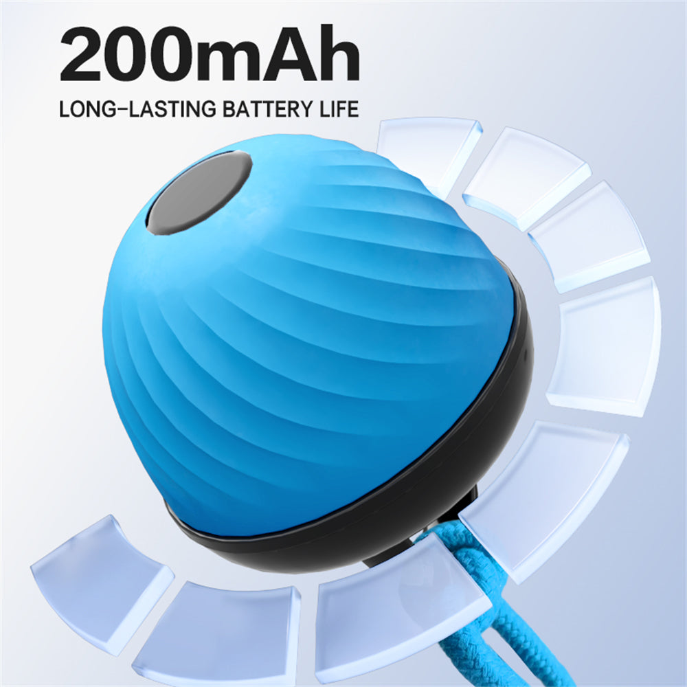 Automatic Interactive Dog Ball Toy