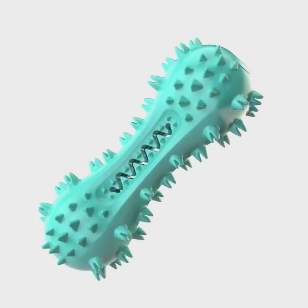 Spiky Dental Chew Toy