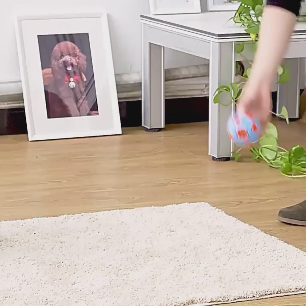 Training Rubber Ball Toy – Interactive Chew Ball for Dogs