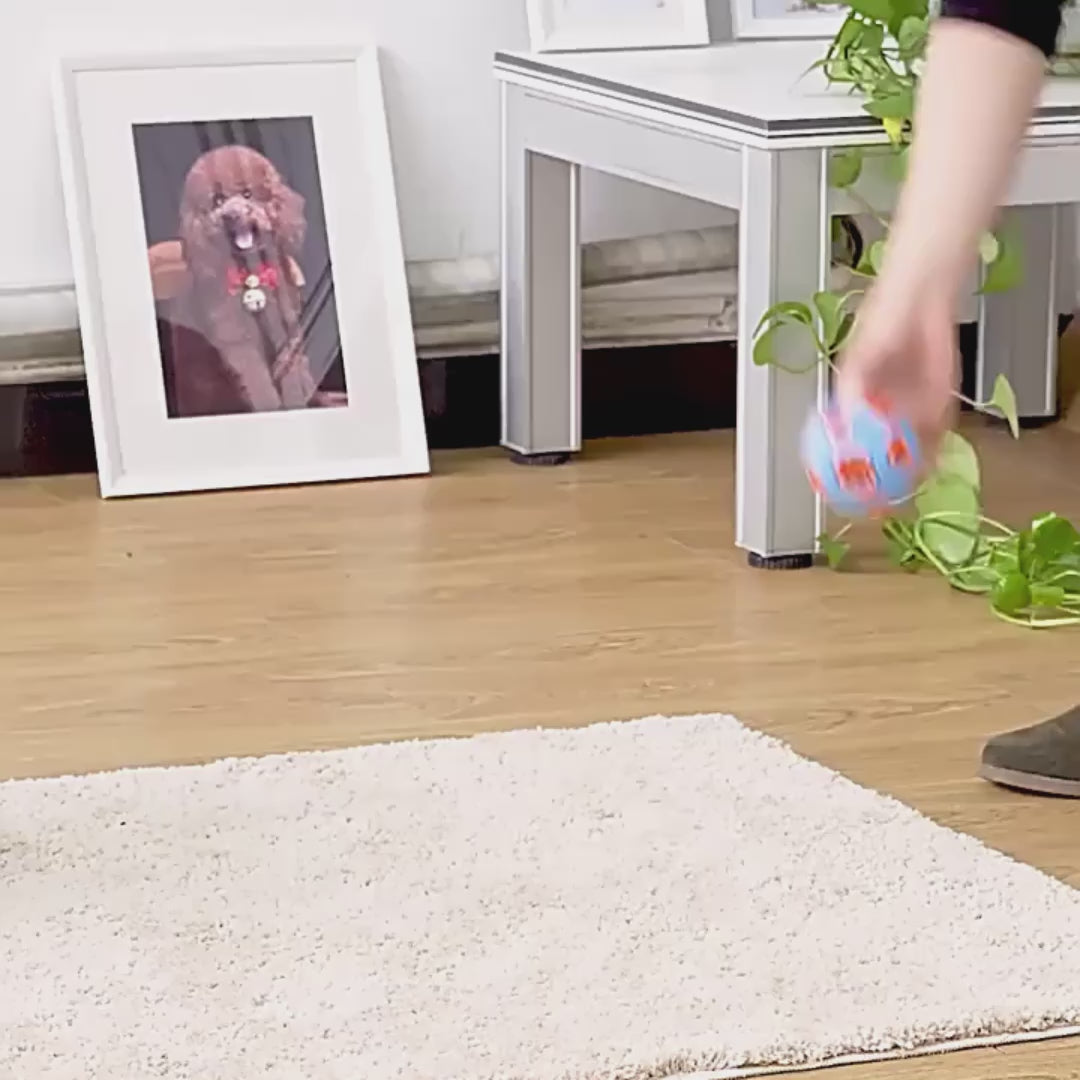 Training Rubber Ball Toy – Interactive Chew Ball for Dogs