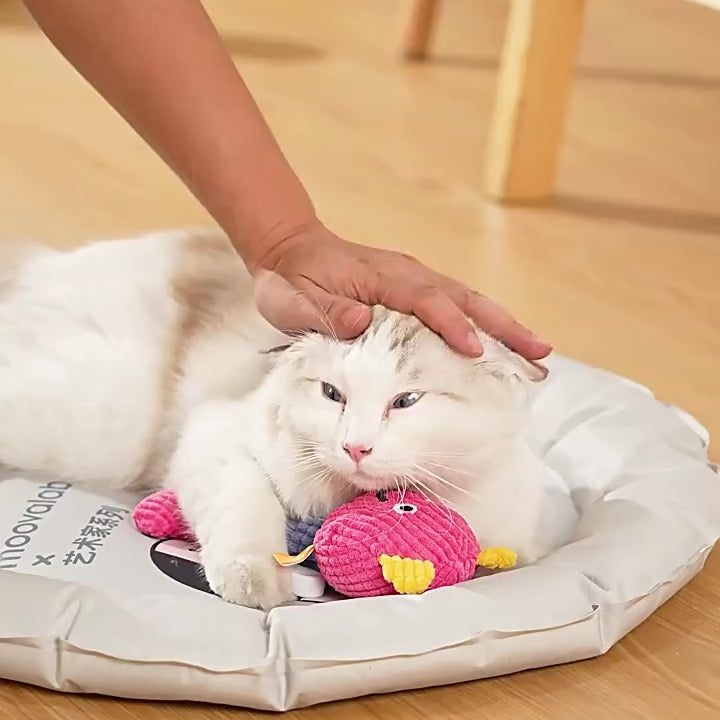 Plush Crinkle Chew Toy – Soft Squeaky Toy