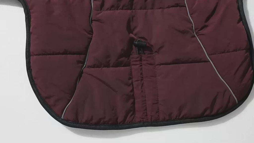 ARIMO “Alpine Shield” Waterproof Winter Dog Coat