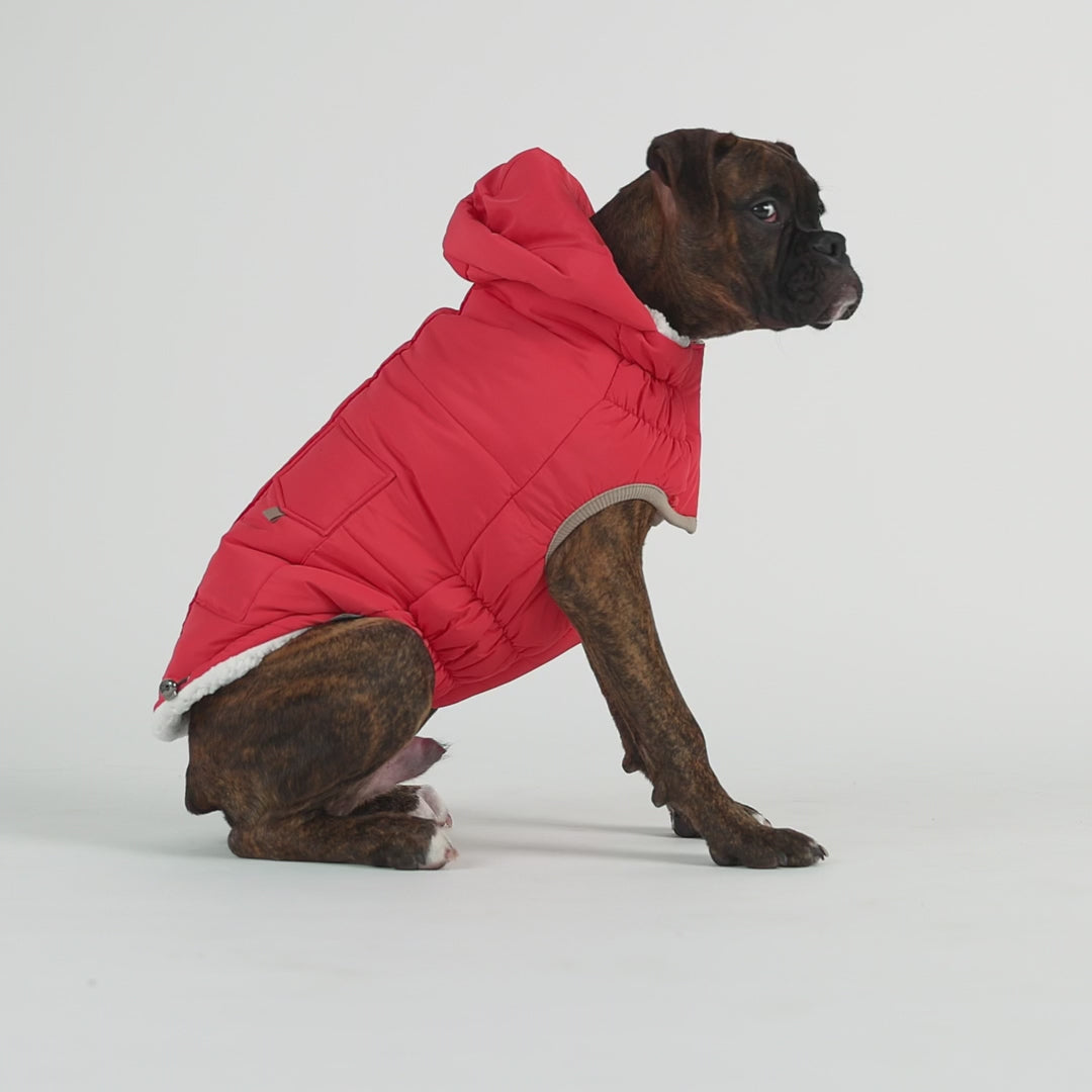 ARIMO “Arctic Puffer” Dog Coat