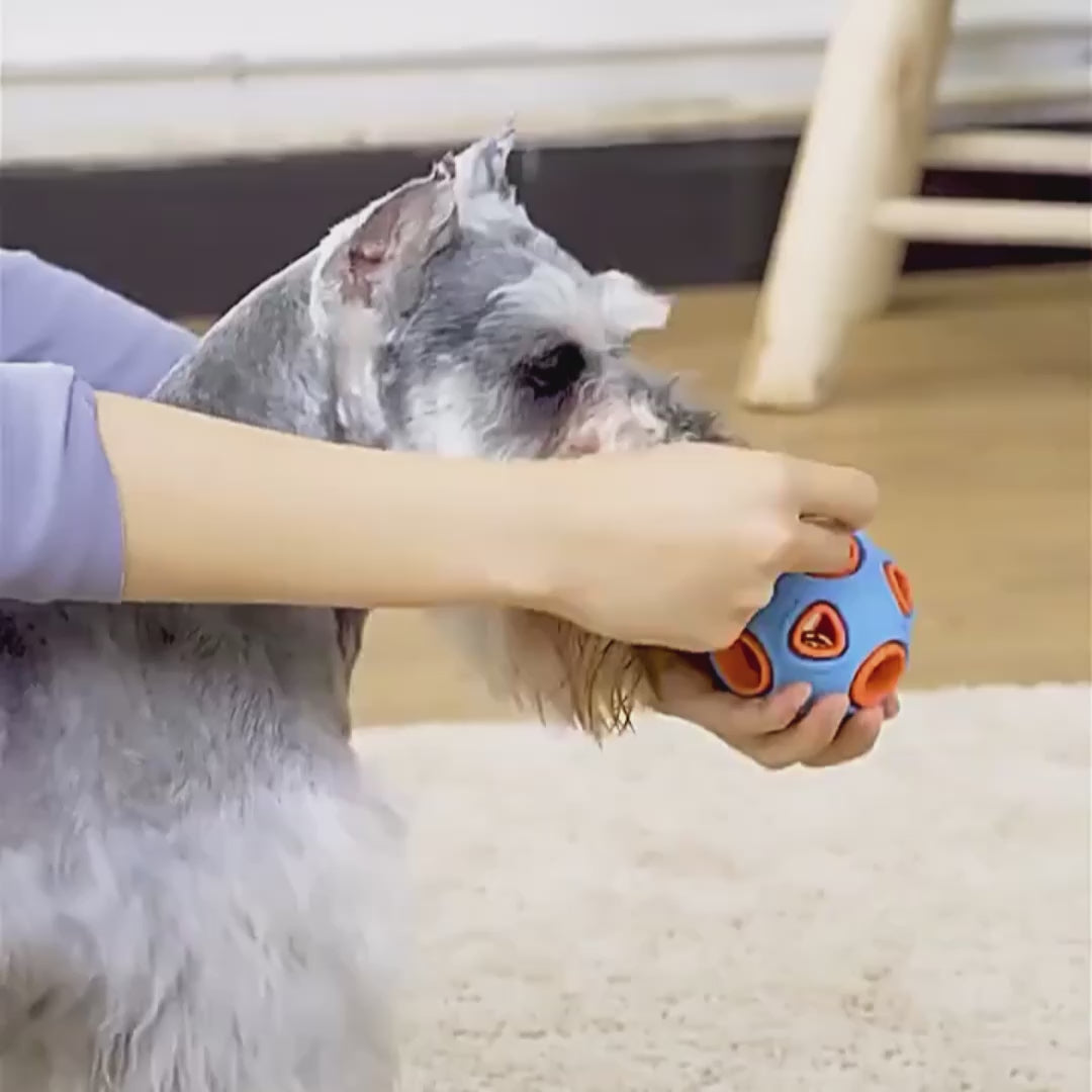 Training Rubber Ball Toy – Interactive Chew Ball for Dogs
