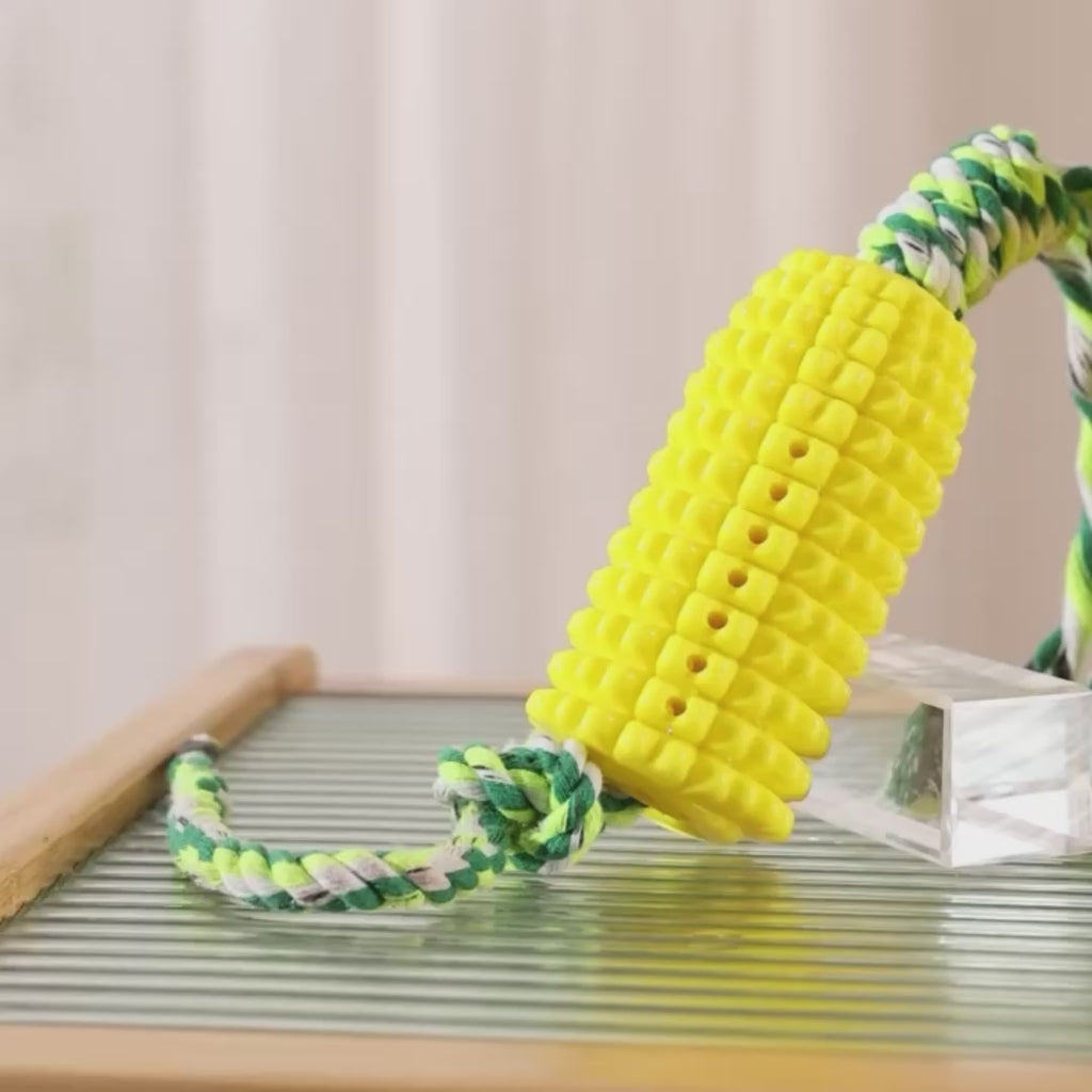Corn Chew Toy for Dogs
