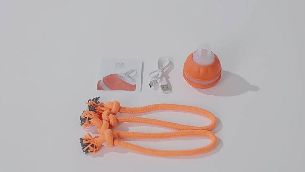 Interactive Motion-Activated Dog Ball Toy