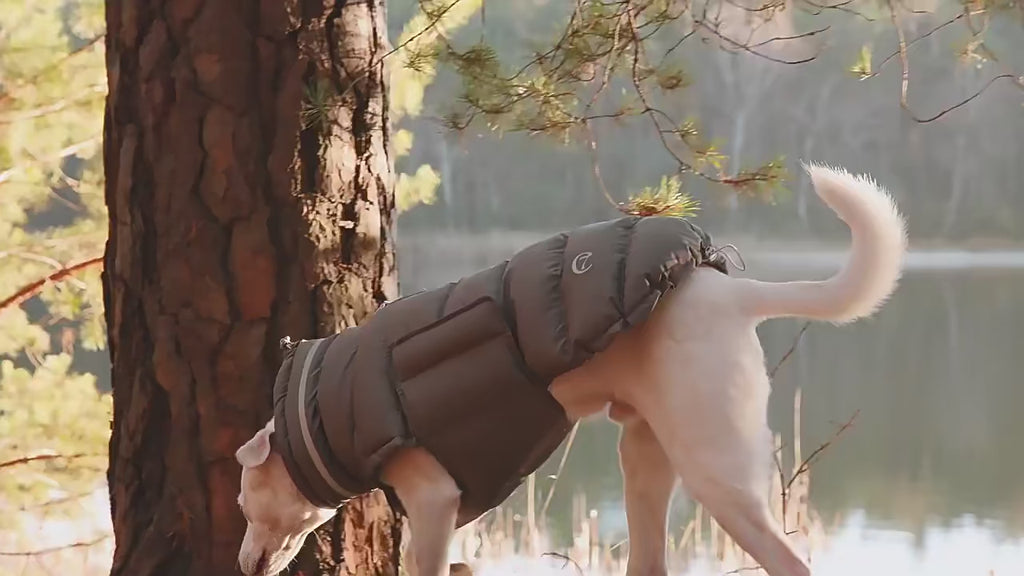 ARIMO “Reflective Puffer” Winter Dog Jacket