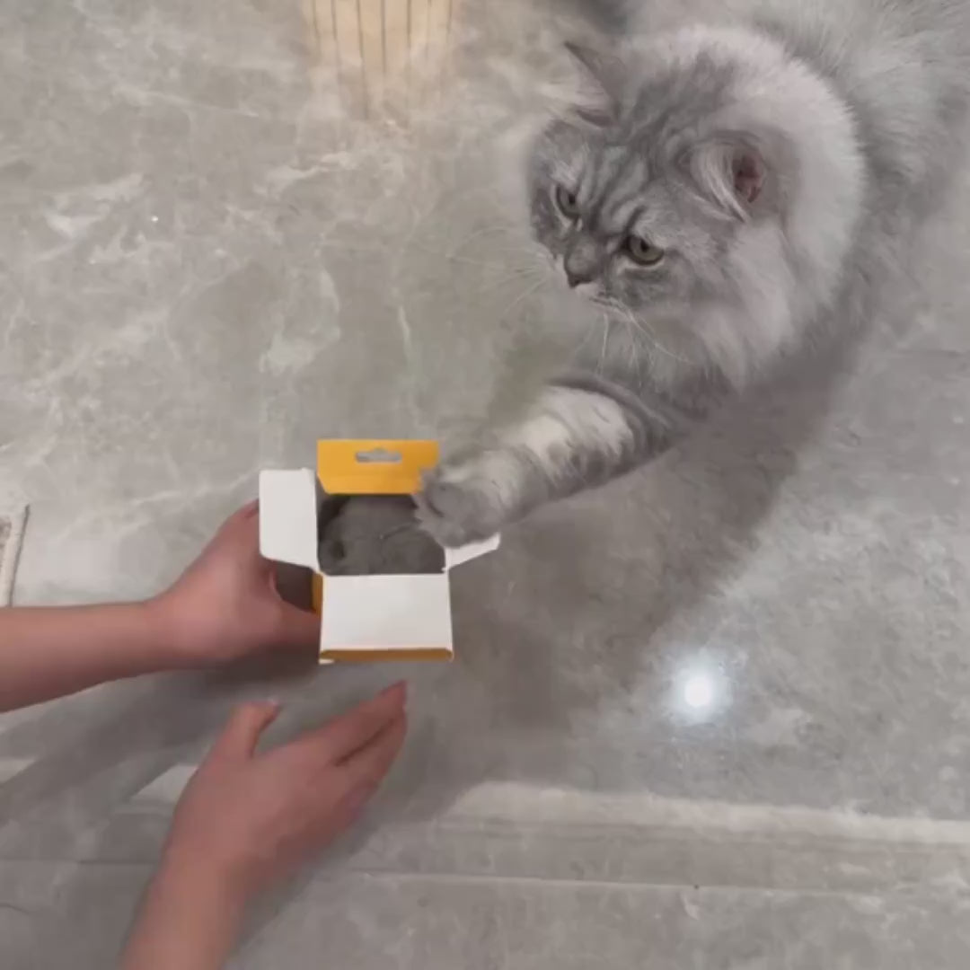 Interactive Chirping Bird Cat Toy