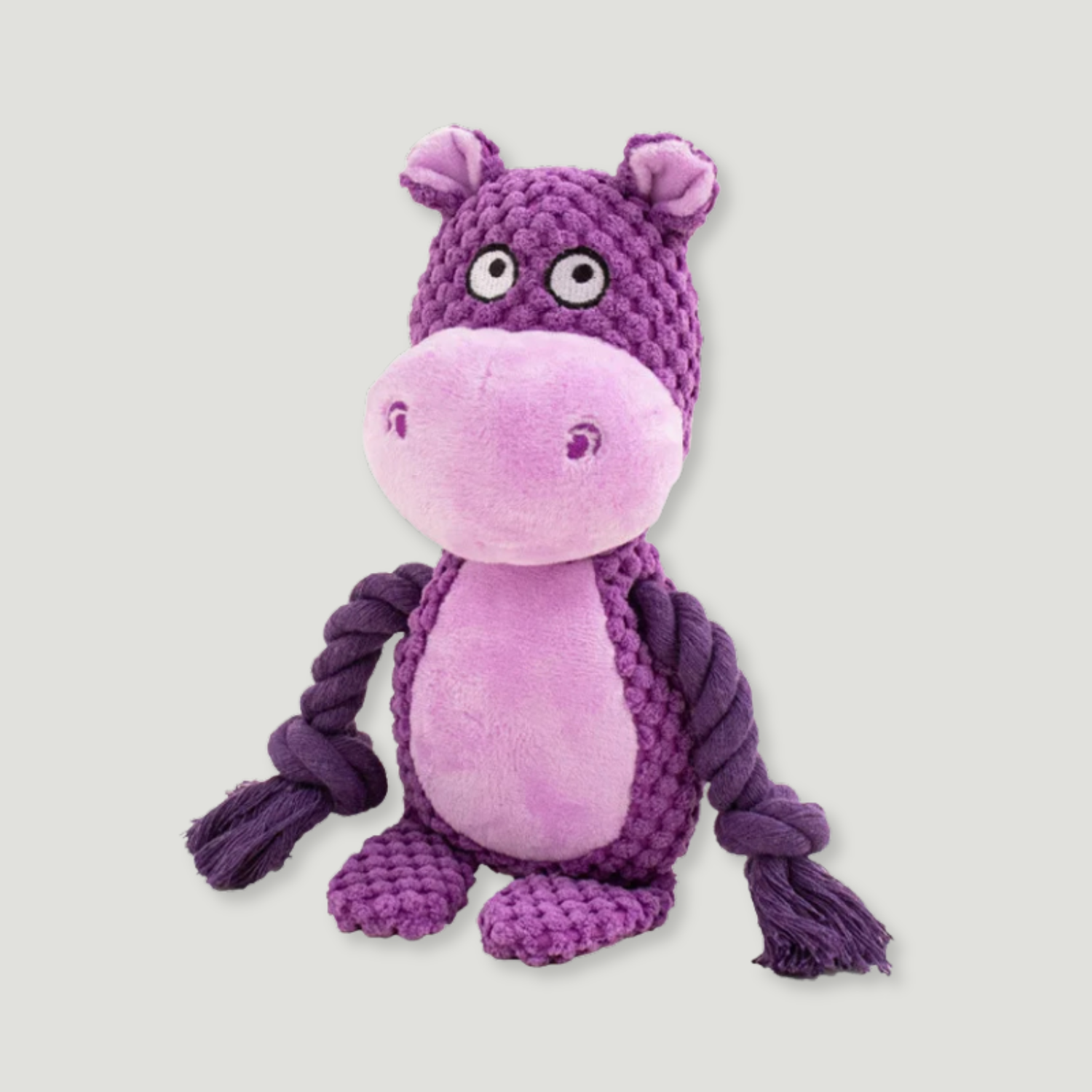 Little Buddies Crinkle & Squeaky Plush Dog Toy